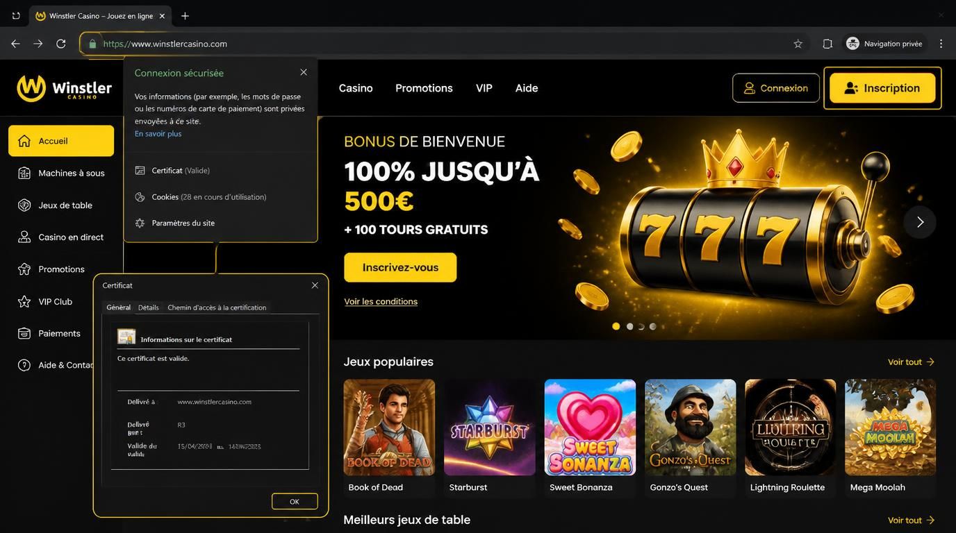 Interface de casino montrant le cadenas SSL, bouton « Inscription », et sécurité visible